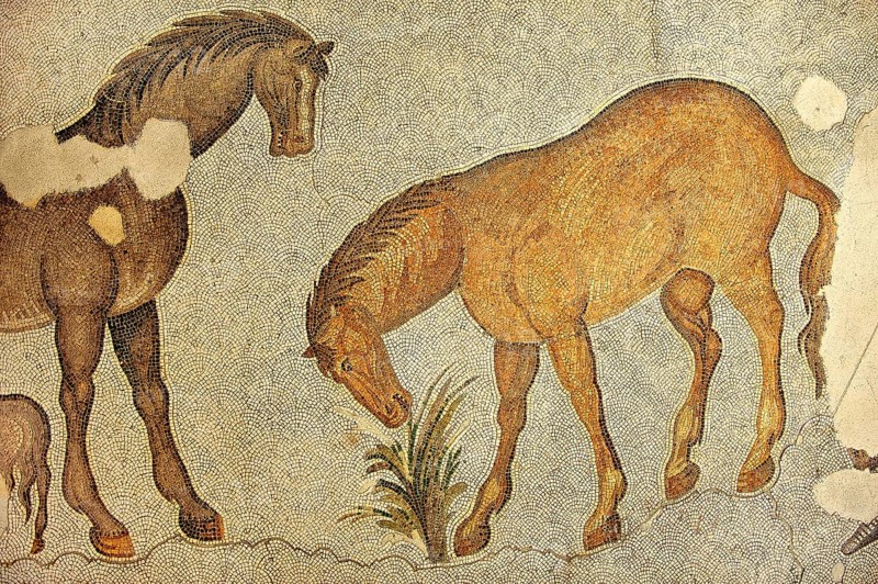 6th century Byzantine Roman mosaic of horses