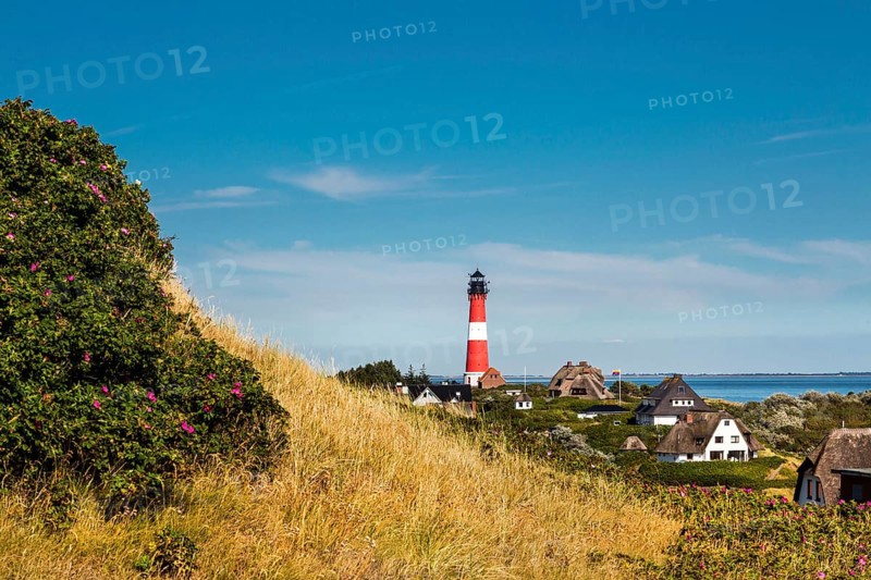 Thatched Frisian houses with lighthouse