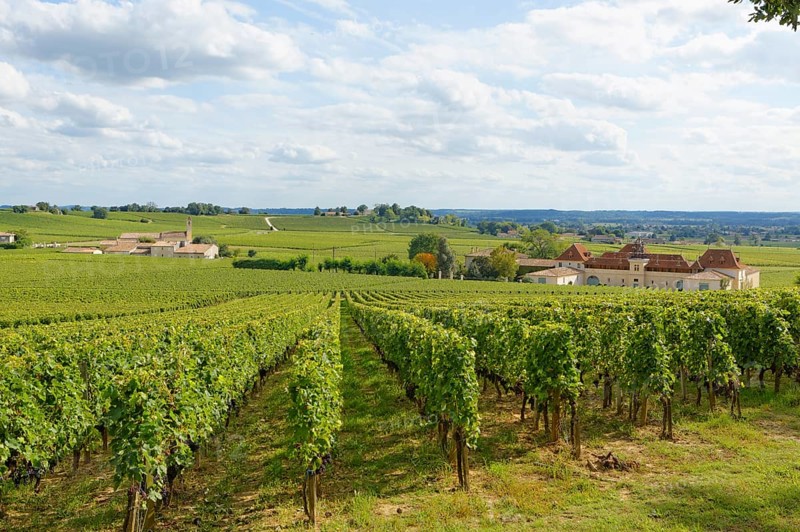Bordeaux vineyard and Chateau Angelus