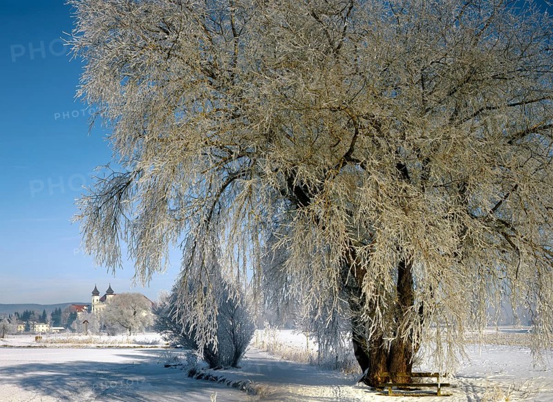 Hoarfrost at Schlehdorf Abbey