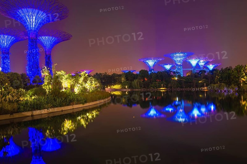 Supertrees