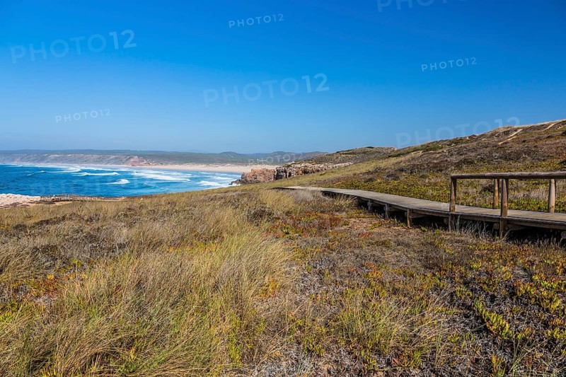 Wooden walkway to a lookout point