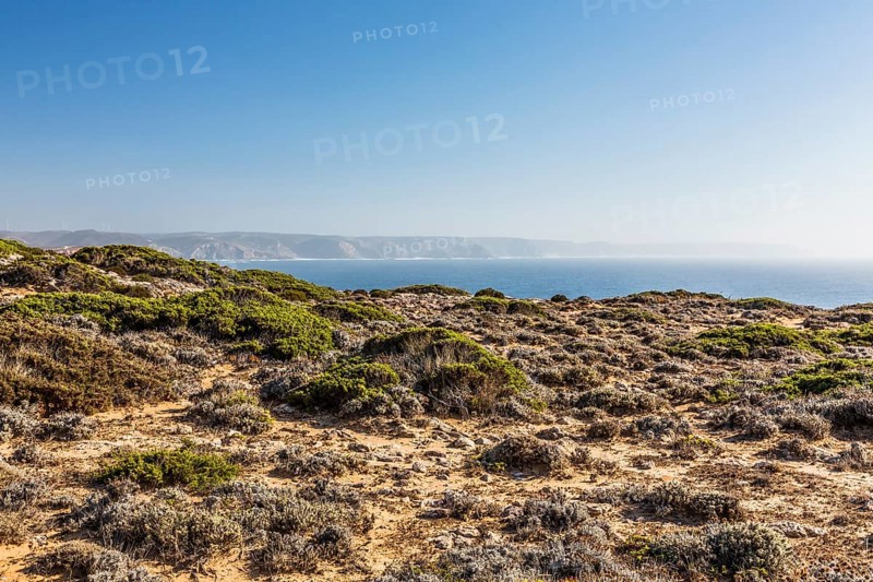 Praia do Amado