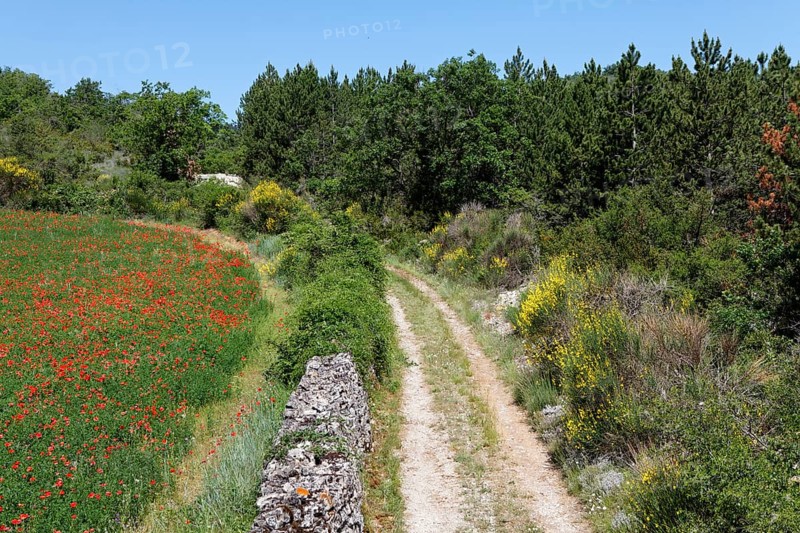 Long-distance footpath