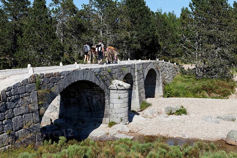 Pont du Tarn