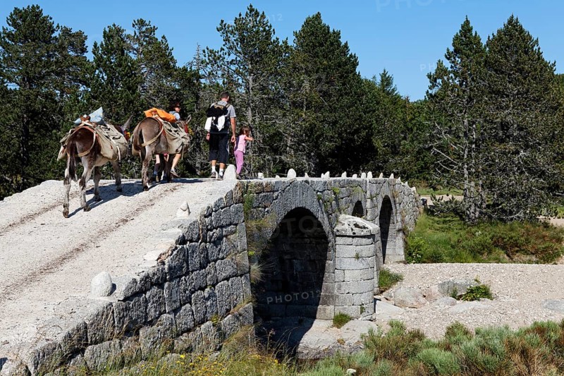 Pont du Tarn