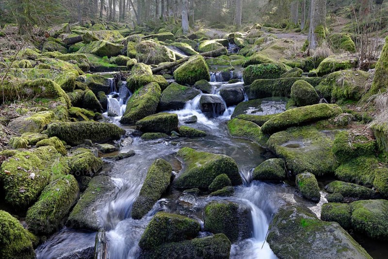 In the Saussbachklamm valley
