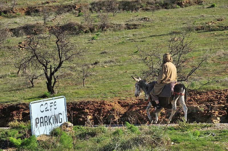 Man riding a donkey past a sign "Cafe parking"