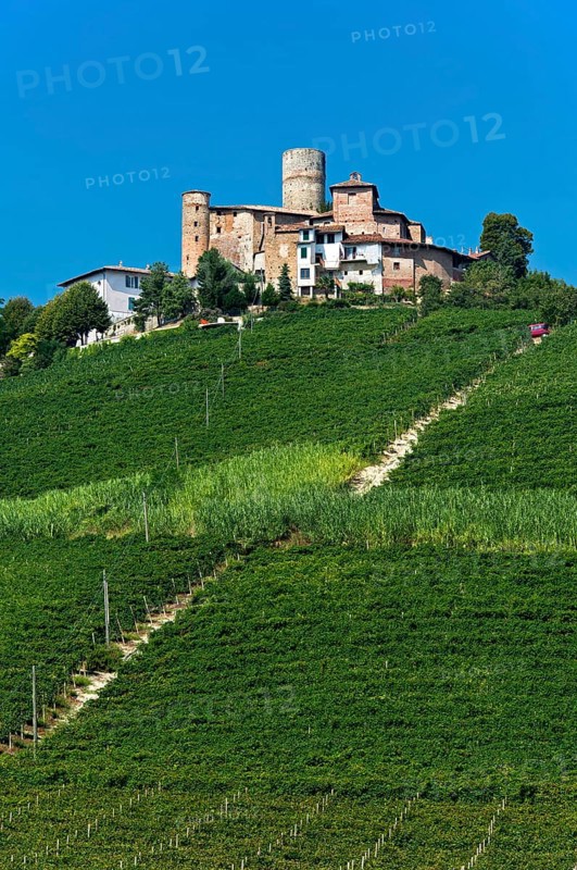 The castle of Castiglione Falletto above vineyards