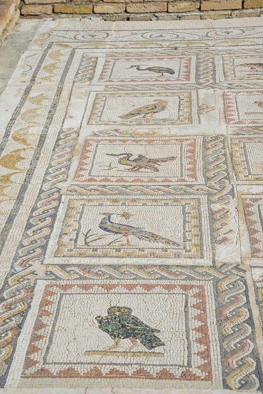 Floor mosaic depicting birds