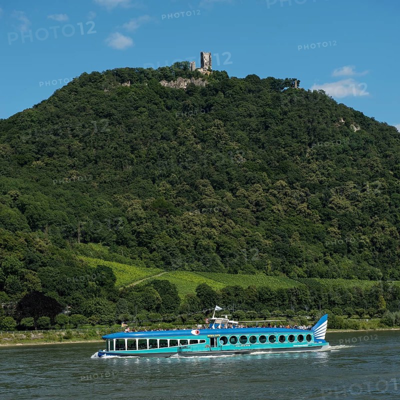 View over the Rhine on Mt. Drachenfels with and Burg Drachenfels castle ruins