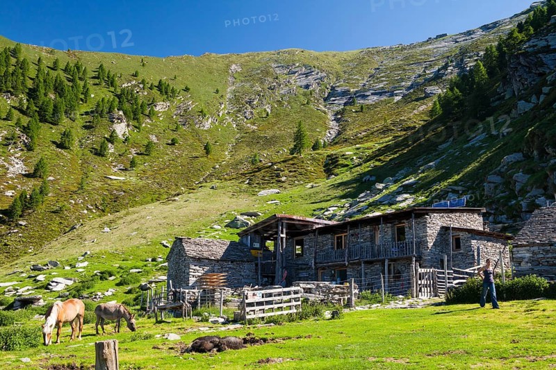 Alpine life at Rifugio Alpe Nimi