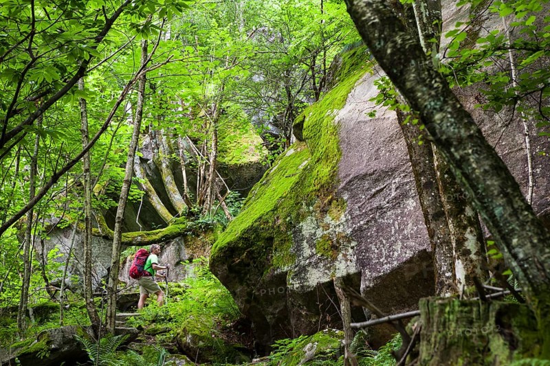 Man hiking in the primeval forest of the Bavona Valley