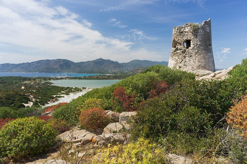 Saracen tower
