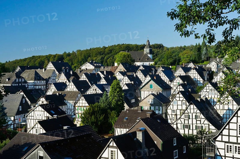Half-timbered houses