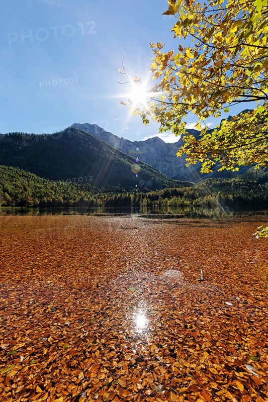 Lake Hinterer Langbathsee with beech leaves