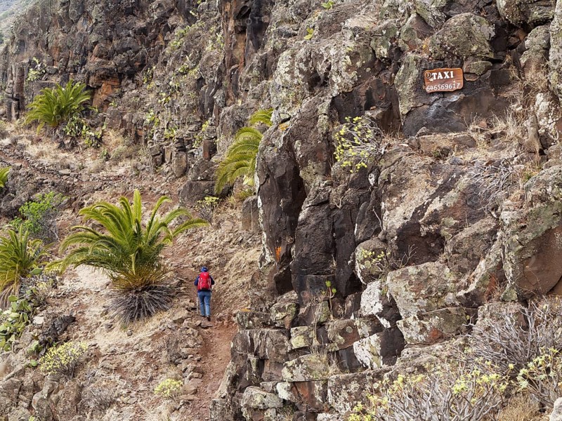 Woman wearing a backpack while hiking along a hiking trail