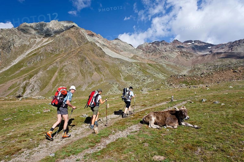 Hikers on their way to the Similaunhuette mountain shelter in the Schnalstal valley