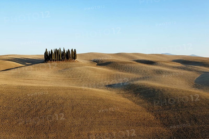 Crete Senesi