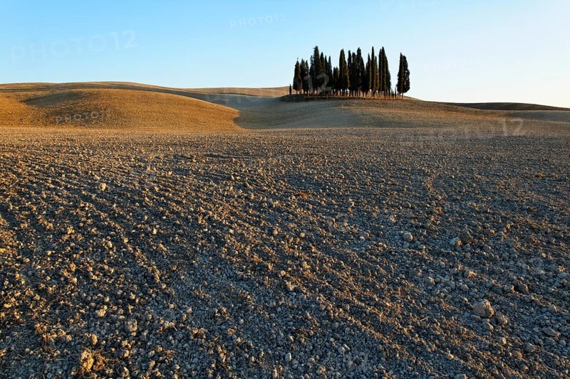 Crete Senesi