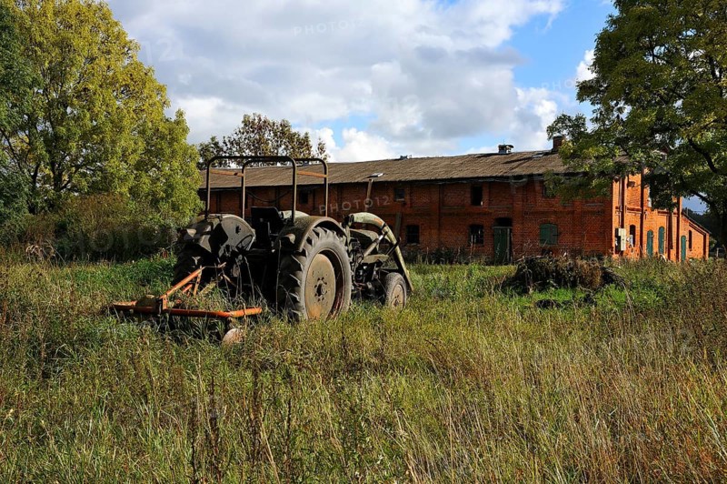 Old Fendt tractor from 1969 on a meadow