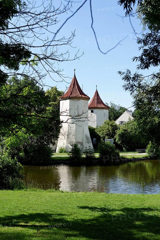 Pond
