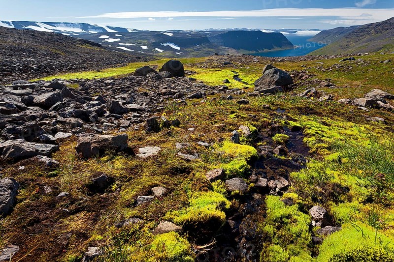 Hornstrandir