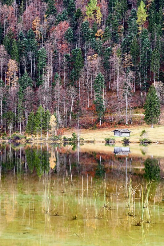 Autumnal forest and hut with a reflection in Lake Ferchensee