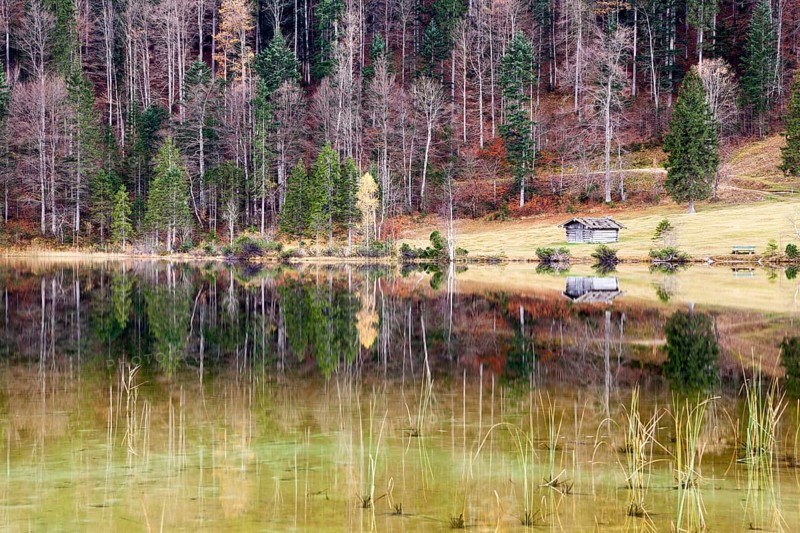 Autumnal forest and hut with a reflection in Lake Ferchensee
