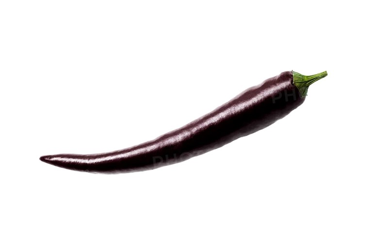 Black chili pepper