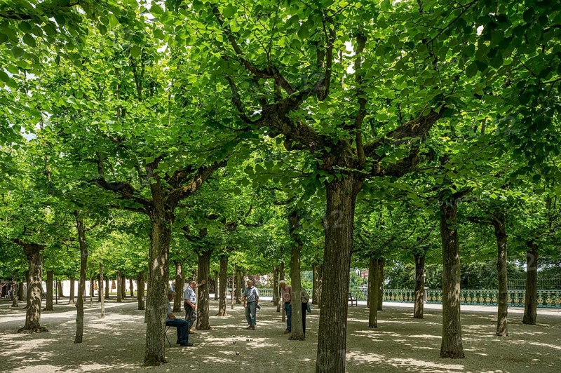 Baroque lime boscage with bocce players