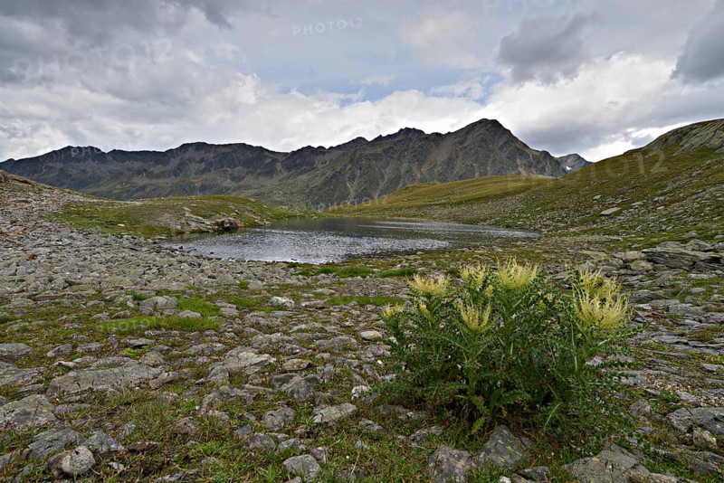 Mountain lake at Timmelsjoch