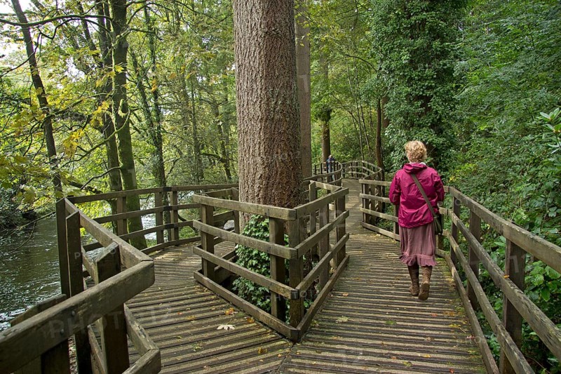 Woman walking along a boardwalk