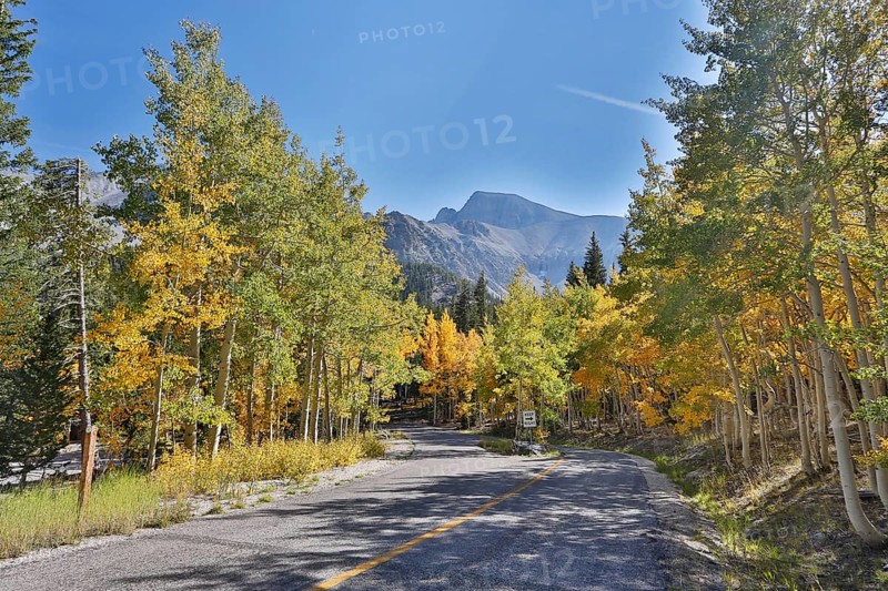 A road on the Wheeler Peak in fall