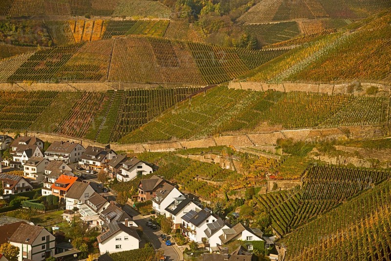 Wine village of Dernau an der Ahr