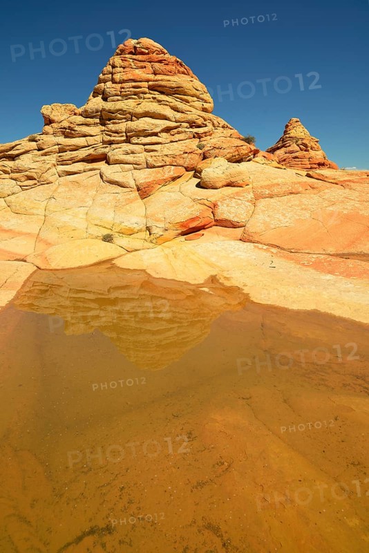 Brain Rocks of the Coyote Buttes South CBS