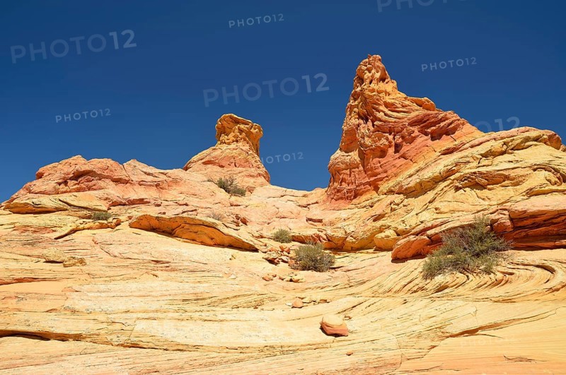 Brain Rocks of the Coyote Buttes South CBS