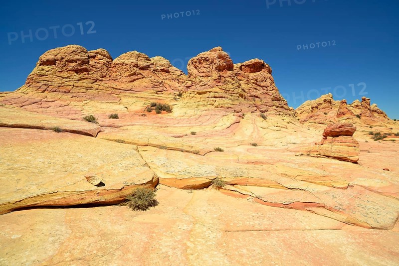 Brain Rocks of the Coyote Buttes South CBS