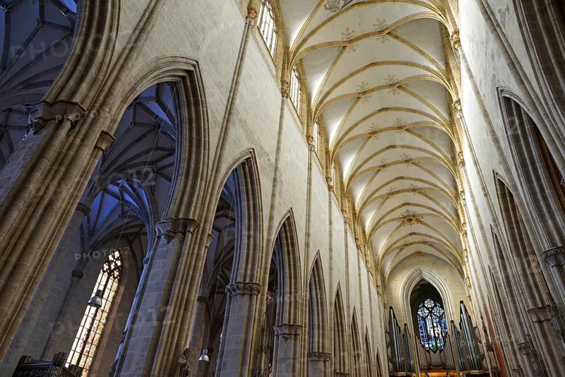 View of the vaulted ceiling in the nave