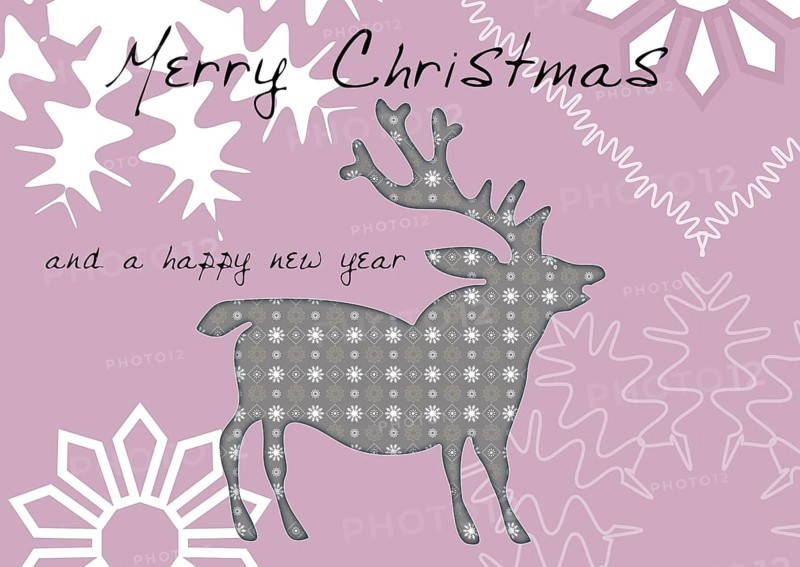 Christmas card 'Merry Christmas and a Happy New Year'