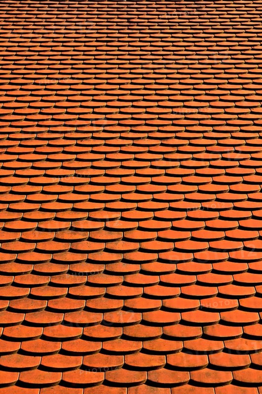 Beavertail roof tiles