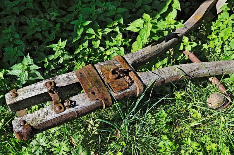 Old wagon tongue and stinging nettles
