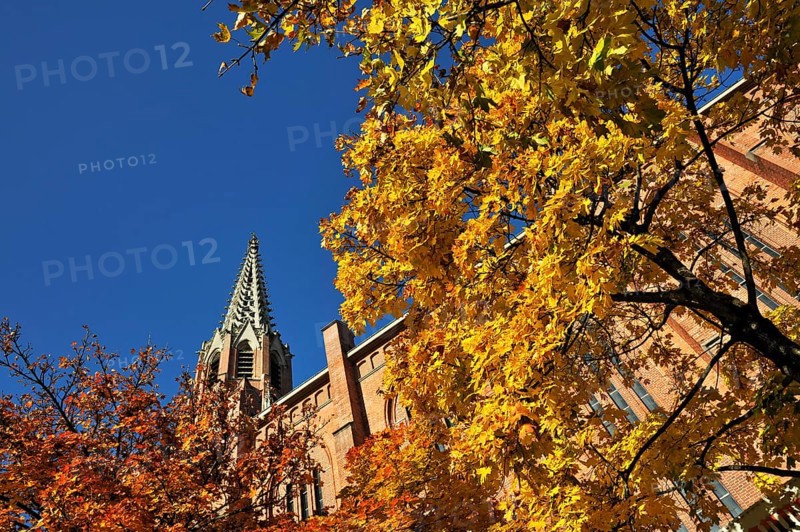 Mariahilf Church with a Maple (Acer) with autumn leaves