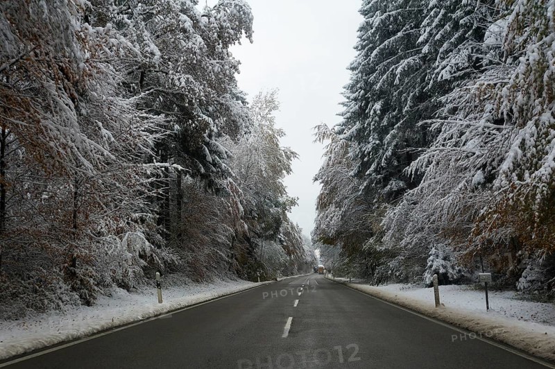 A country road through a snowy forest near Feldkirchen-Westerham