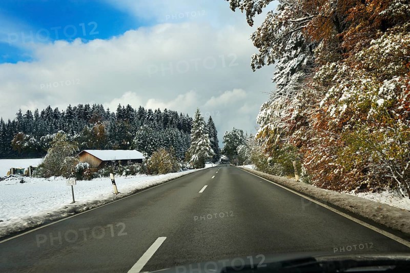 A country road and a snowy forest near Feldkirchen-Westerham