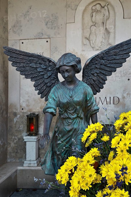 Family grave with angel