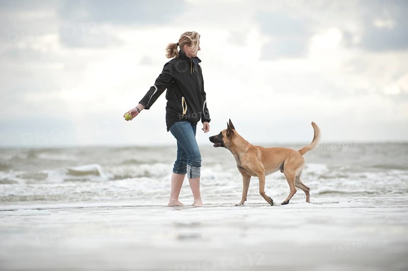 Woman playing with a Hollandse Herdershond