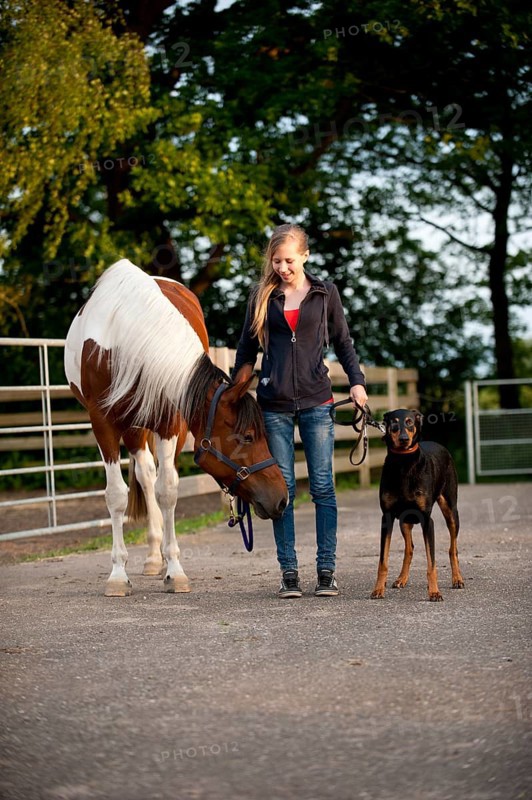 Girl with a horse and a Doberman