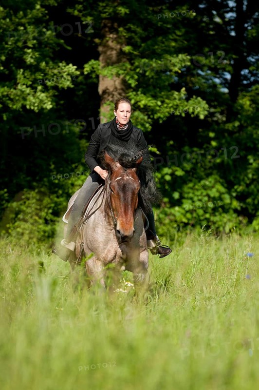 Woman riding a Belgian Draft Horse in a meadow
