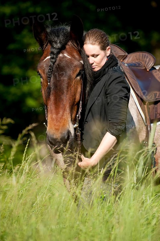 Woman with a Belgian Draft Horse in a meadow